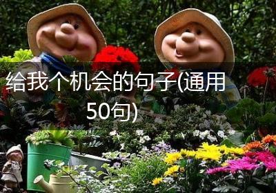 给我个机会的句子(通用50句)
