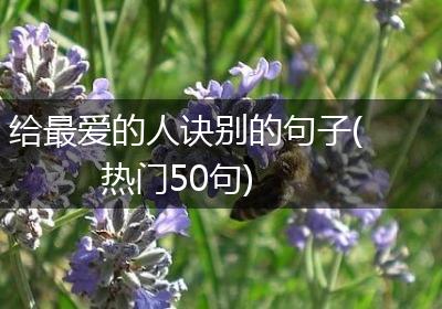 给最爱的人诀别的句子(热门50句)