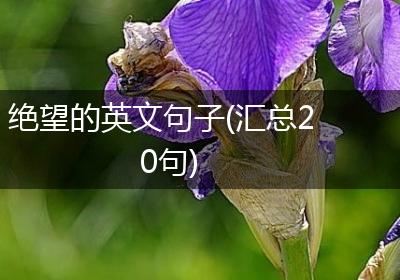绝望的英文句子(汇总20句)