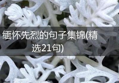 缅怀先烈的句子集锦(精选21句)