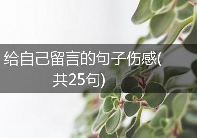给自己留言的句子伤感(共25句)