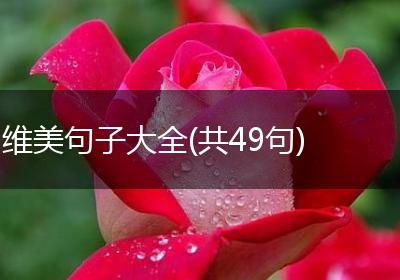 维美句子大全(共49句)