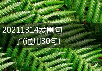 20211314发圈句子(通用30句)