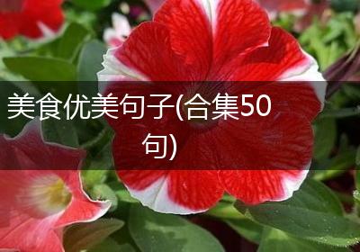 美食优美句子(合集50句)