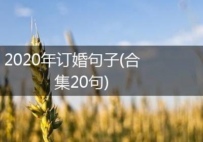 2020年订婚句子(合集20句)