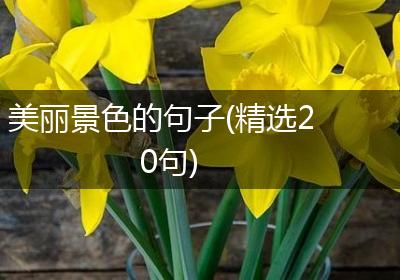 美丽景色的句子(精选20句)