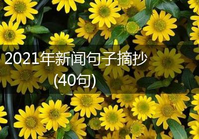 2021年新闻句子摘抄(40句)