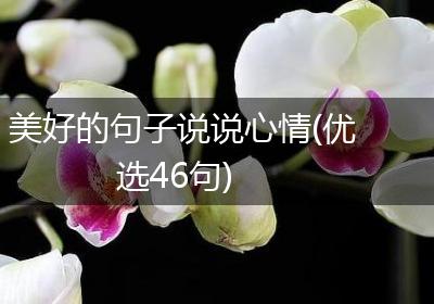 美好的句子说说心情(优选46句)