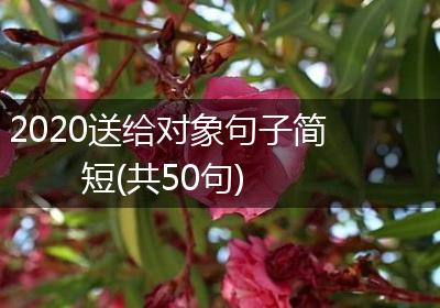 2020送给对象句子简短(共50句)