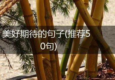 美好期待的句子(推荐50句)