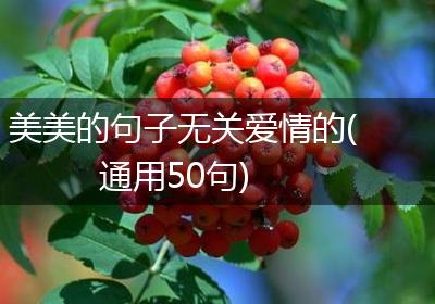 美美的句子无关爱情的(通用50句)
