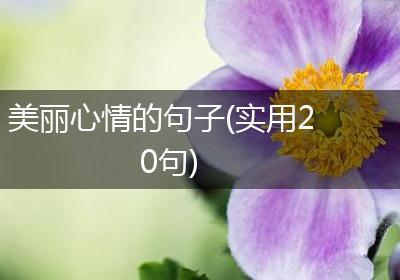 美丽心情的句子(实用20句)