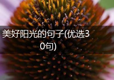 美好阳光的句子(优选30句)