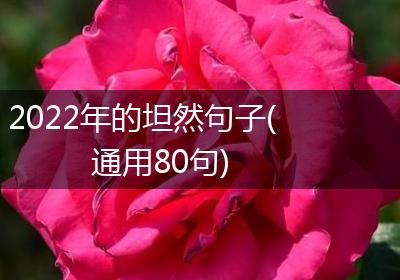 2022年的坦然句子(通用80句)