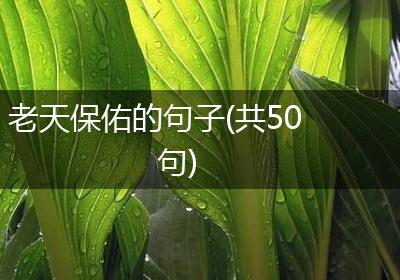 老天保佑的句子(共50句)