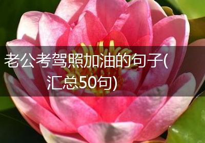 老公考驾照加油的句子(汇总50句)