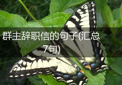 群主辞职信的句子(汇总7句)