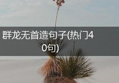 群龙无首造句子(热门40句)