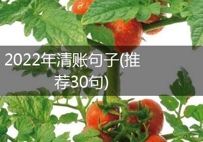 2022年清账句子(推荐30句)