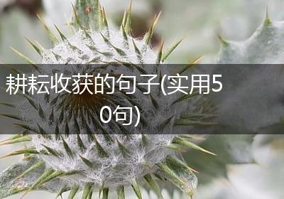 耕耘收获的句子(实用50句)