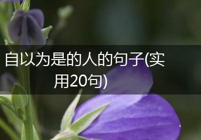 自以为是的人的句子(实用20句)