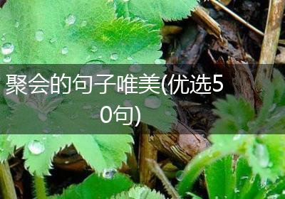 聚会的句子唯美(优选50句)