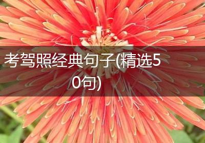 考驾照经典句子(精选50句)
