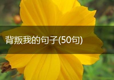 背叛我的句子(50句)