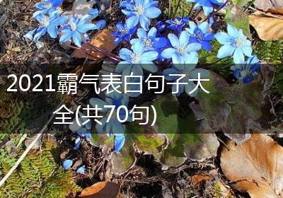 2021霸气表白句子大全(共70句)
