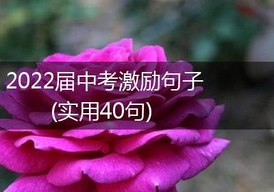 2022届中考激励句子(实用40句)