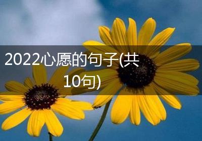2022心愿的句子(共10句)