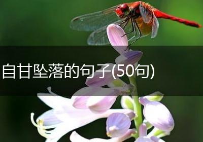自甘坠落的句子(50句)