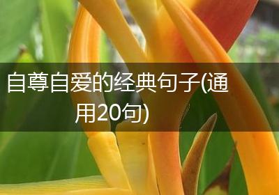 自尊自爱的经典句子(通用20句)