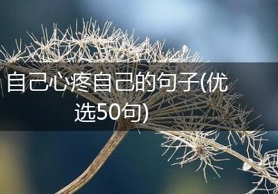 自己心疼自己的句子(优选50句)