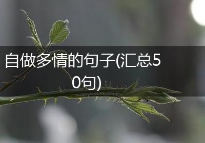 自做多情的句子(汇总50句)