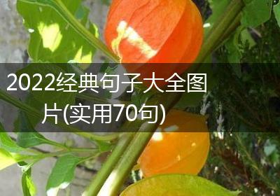 2022经典句子大全图片(实用70句)