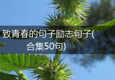 致青春的句子励志句子(合集50句)