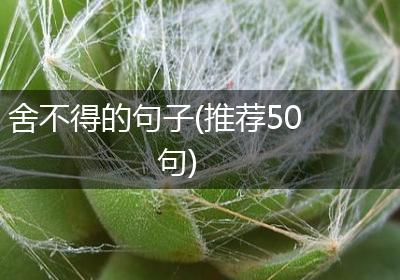 舍不得的句子(推荐50句)