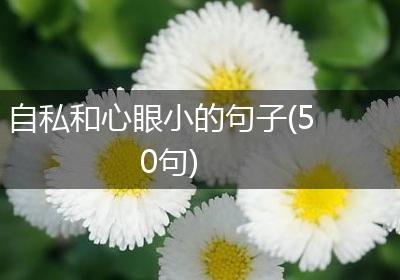 自私和心眼小的句子(50句)