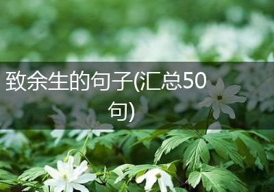 致余生的句子(汇总50句)