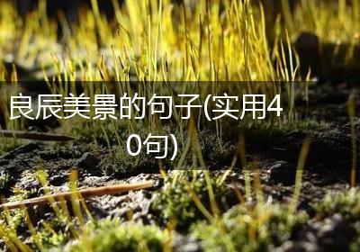 良辰美景的句子(实用40句)