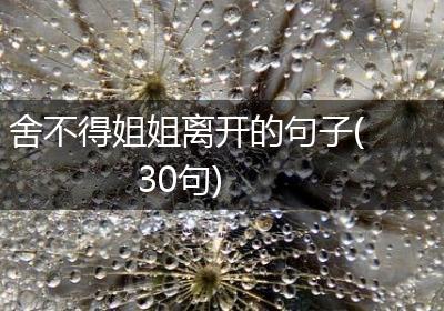 舍不得姐姐离开的句子(30句)