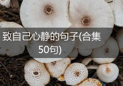 致自己心静的句子(合集50句)