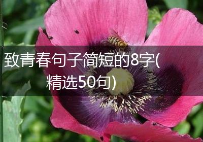 致青春句子简短的8字(精选50句)