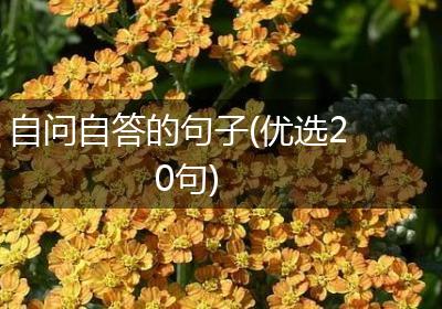 自问自答的句子(优选20句)