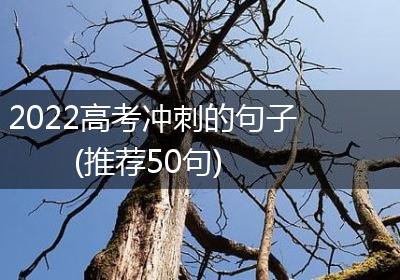 2022高考冲刺的句子(推荐50句)