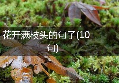 花开满枝头的句子(10句)