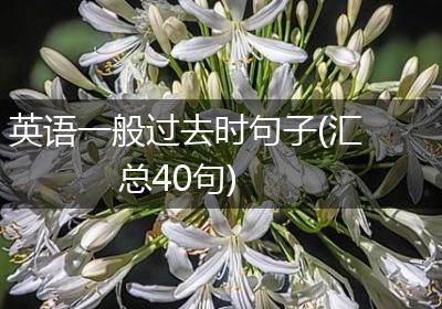 英语一般过去时句子(汇总40句)