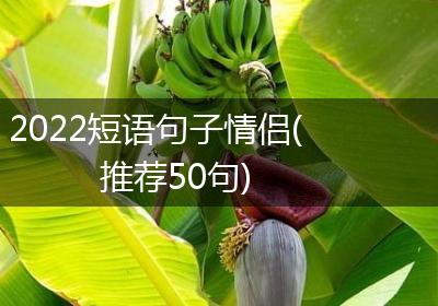 2022短语句子情侣(推荐50句)