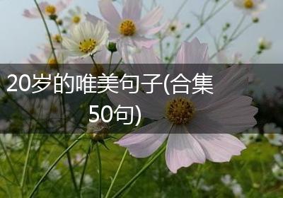 20岁的唯美句子(合集50句)
